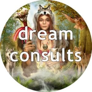 Dream Consults